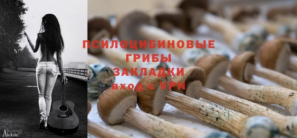 спайс Алексин