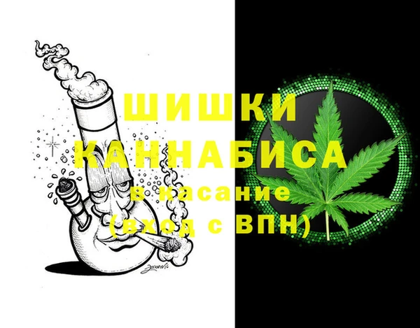 дурь Алзамай