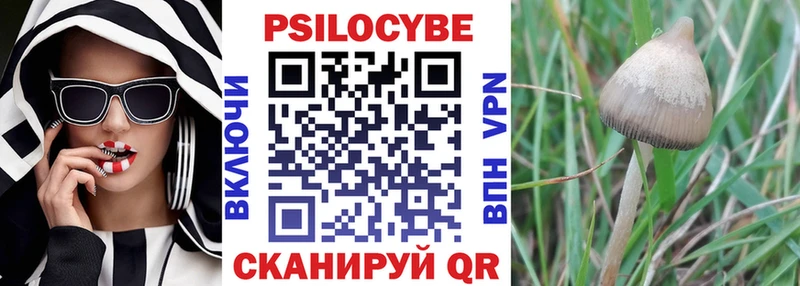 дарк нет состав  Мирный  Галлюциногенные грибы прущие грибы 