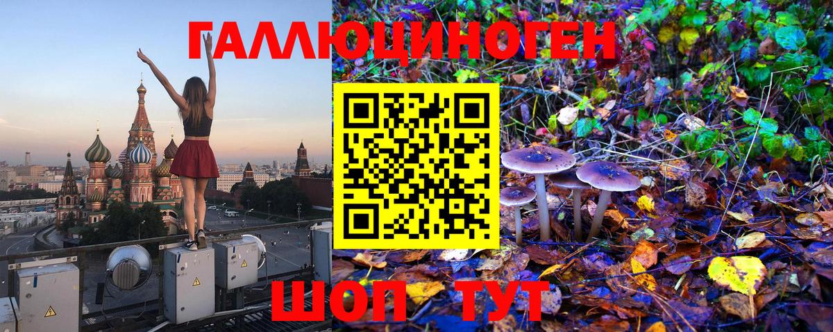 Мирный  Галлюциногенные грибы прущие грибы  Вход с VPN  Галлюциногенные грибы MAGIC MUSHROOMS 