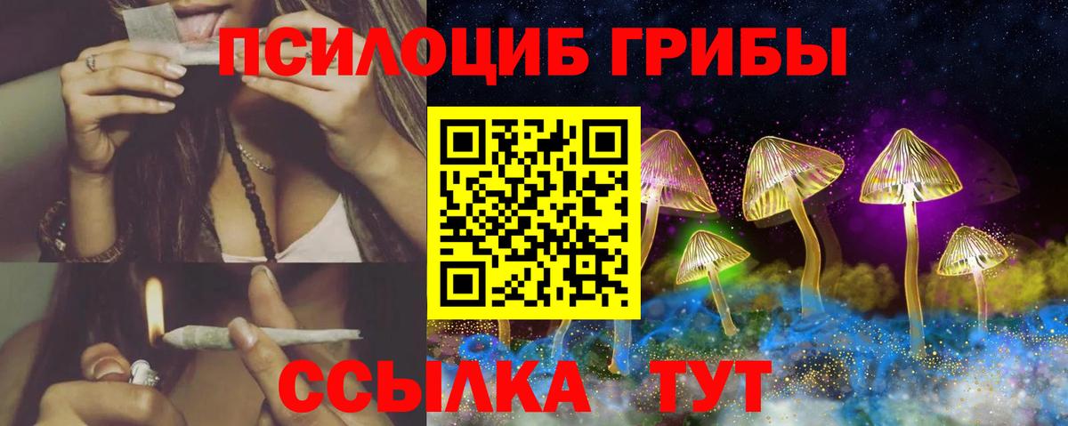 Псилоцибиновые грибы мухоморы Мирный
